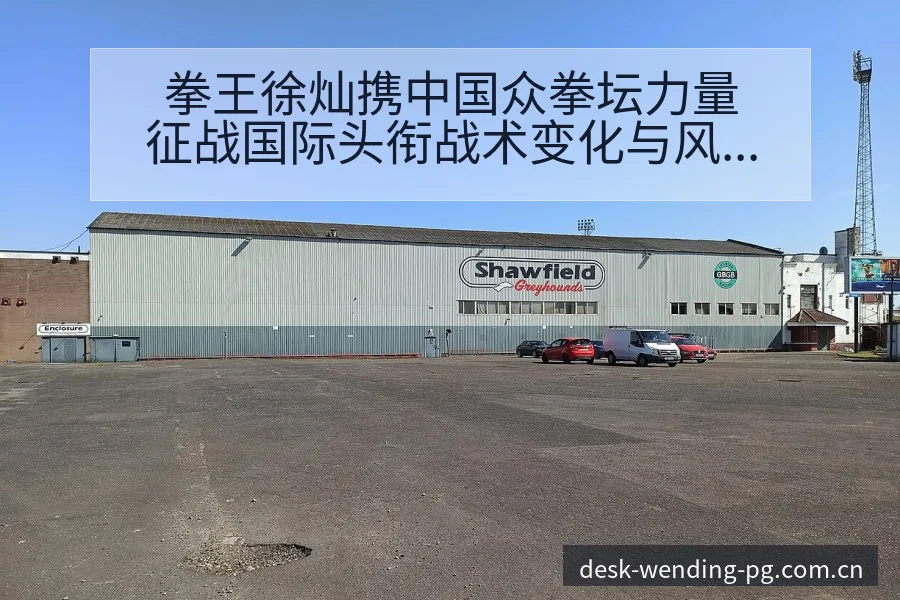 拳王徐灿携中国众拳坛力量征战国际头衔战术变化与风险点赛程 - 问鼎pg官网